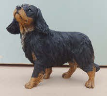 Cavelier King Charles Spaniel black and tan ALP133PN - Castagna